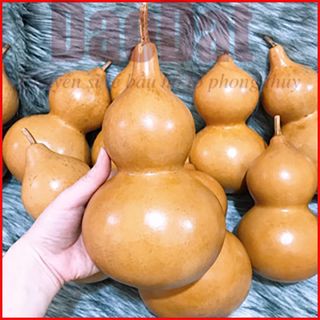 Bầu Hồ Lô Phơi Khô Tự Nhiên