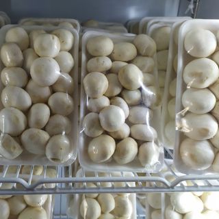 Nấm mỡ trắng