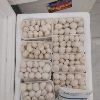 Nấm mỡ trắng