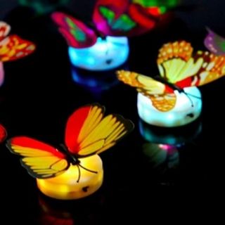 Bươm bướm có đèn led dán tường đủ màu xinh xắn giá sỉ