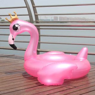 Phao Người lớn chim phượng hoàng lửa 150x120