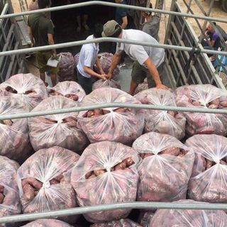 KHOAI LANG MẬT VÀNG sấy giòn, túi 500Gr