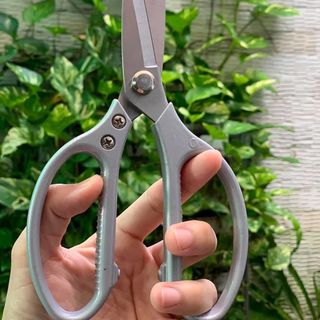 Kéo cắt gà Nhật SK5