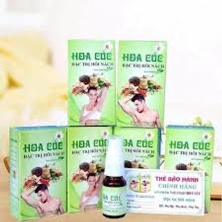 hôi nách hoa cúc