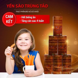 Yến Sào Trùng Thảo Gold