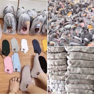 Tất hoa cúc nhiều màu