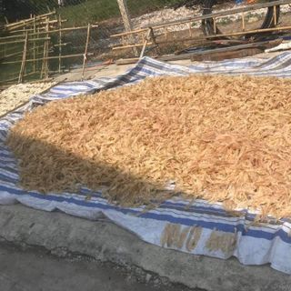 Bong bóng cá chẽm tươi và khô
