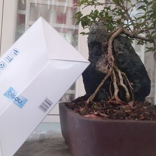 Khẩu trang 4 lớp kháng khuẩn BISOU đạt chứng nhận giá sỉ