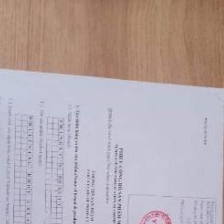 Dưỡng body bơ