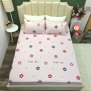 Bộ Ga Gối Cotton Hàn 3 món Cao Cấp