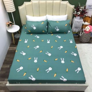 Bộ Ga Gối Cotton Hàn 3 món Cao Cấp