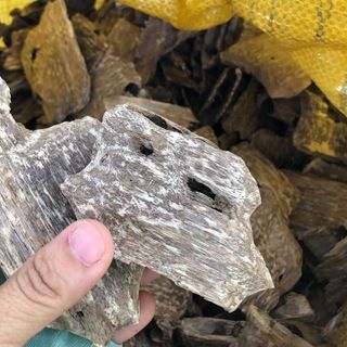 Trầm hương miếng xông nhà