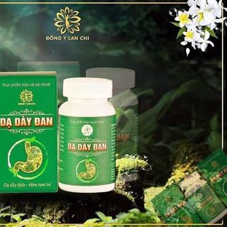 Dạ Dầy Lan Chi giá sỉ