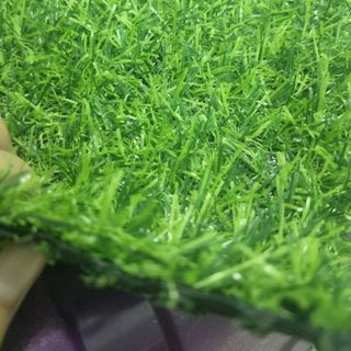 cỏ sân vườn giá rẻ S11- 2cm