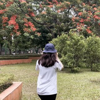 Áo Thun Thiết Kế Cotton Cao Cấp