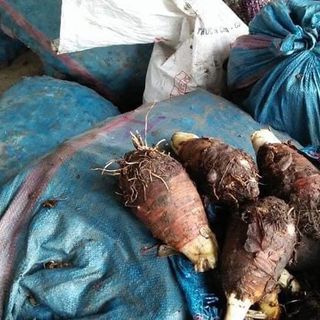 Thập cẩm sấy giòn 250g (Mít, chuối, khoai vàng, khoai tím,...)