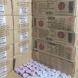 Điện tô nga dũng