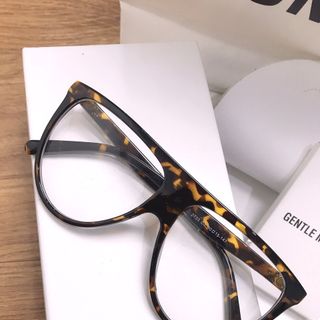 MẮT KÍNH 2733