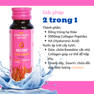 Nước Đông Trùng Hạ Thảo Collagen Hộp 10 Lọ X 50ml