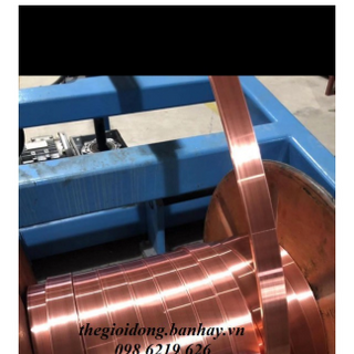 Băng đồng tiếp địa 25x3 dài 1m