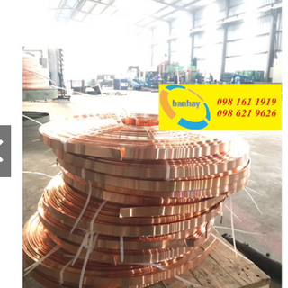 Băng đồng tiếp địa 25x3 dài 1m