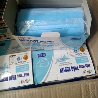 Khẩu Trang Y Tế Thảo Nguyên 4 Lớp (50 Cái/Hộp)