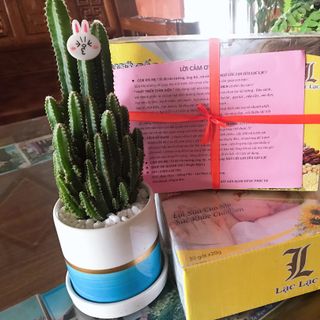 Ngũ côc lợi sữa lạc lạc