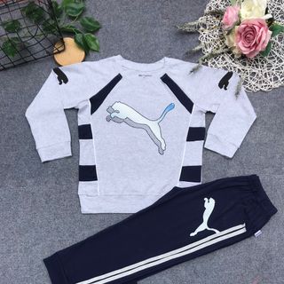Bộ coton 4c bé trai Bo Gấu