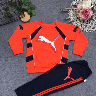 Bộ coton 4c bé trai Bo Gấu