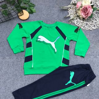 Bộ coton 4c bé trai Bo Gấu