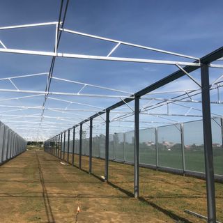Lưới chắn côn trùng giá rẻ, lưới chắn côn trùng Politiv, lưới chắn côn trùng nhà kính