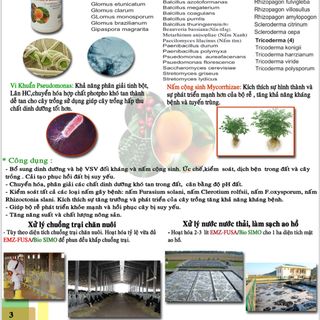 Phân bón Hữu cơ vi sinh BIO-SIMO chai 1 lít ( )