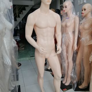 manocanh nam