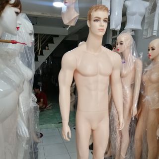 manocanh nam