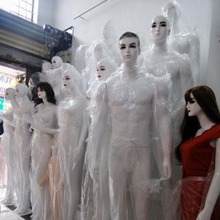manocanh nam