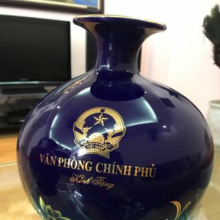 Bình Hút Lộc Văn Phòng Chính Phủ