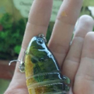 MỒI CÂU CÁ THÔNG MINH
