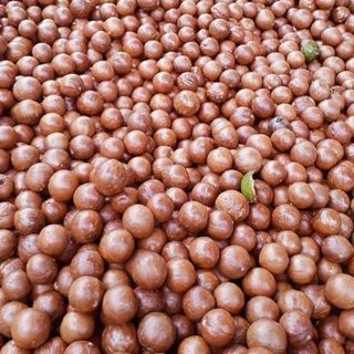 Hạt macca loại ngon chạy sl