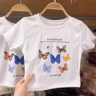 Ao croptop bướm