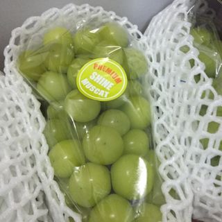 Nho mẫu đơn Hàn Quốc