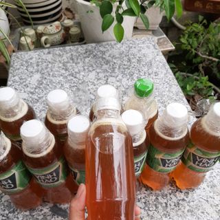 Mật ong rừng