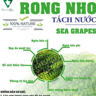 Rong Nho Tươi Tách Nước giá sỉ