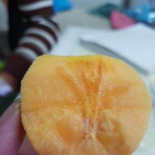 Hồng giòn