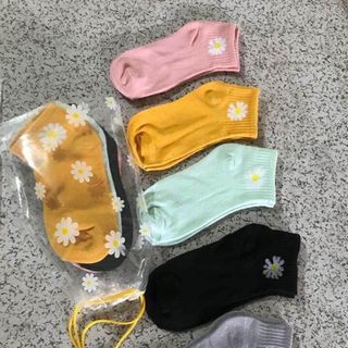 TẤT HOA CÚC TÚI