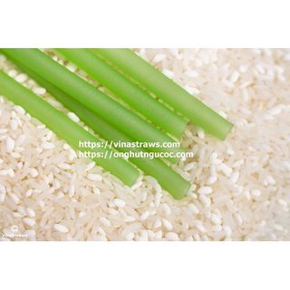 Ống hút ngũ cốc ăn được size 6mm ống hút từ bột gạo bảo vệ môi trường VinaStraws