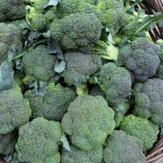 Hạt giống bông cải ( súp lơ) xanh