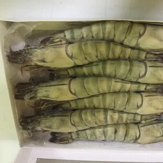 Tôm Sú nguyên con thả tự nhiên Cà Mau ( các size)