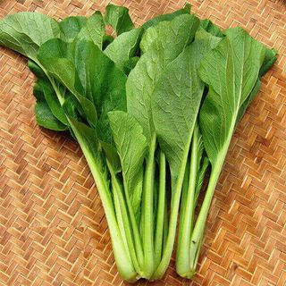 Hạt giống cải ngọt cọng xanh 20gr