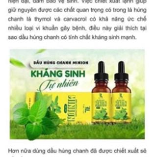 Dầu húng chanh Minion-vua trị ho giá sỉ