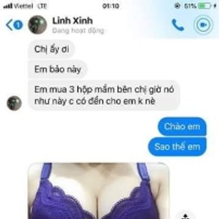 Mầm lúa Mạch gold